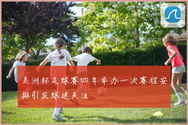 美洲杯足球赛四年举办一次赛程安排引发球迷关注